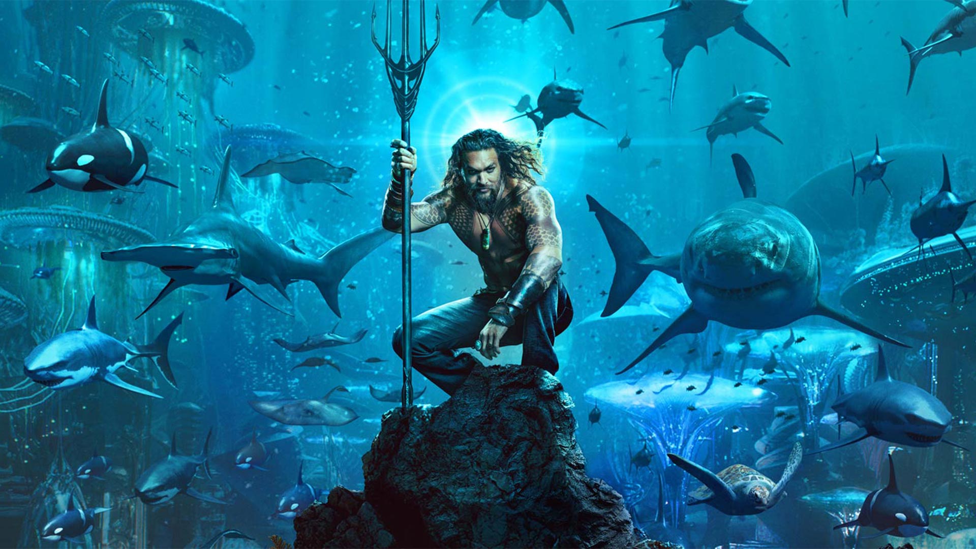 https://staging-parkway.mdfilmfest.com/wp-content/uploads/Aquaman_Still_WEB_02.jpg