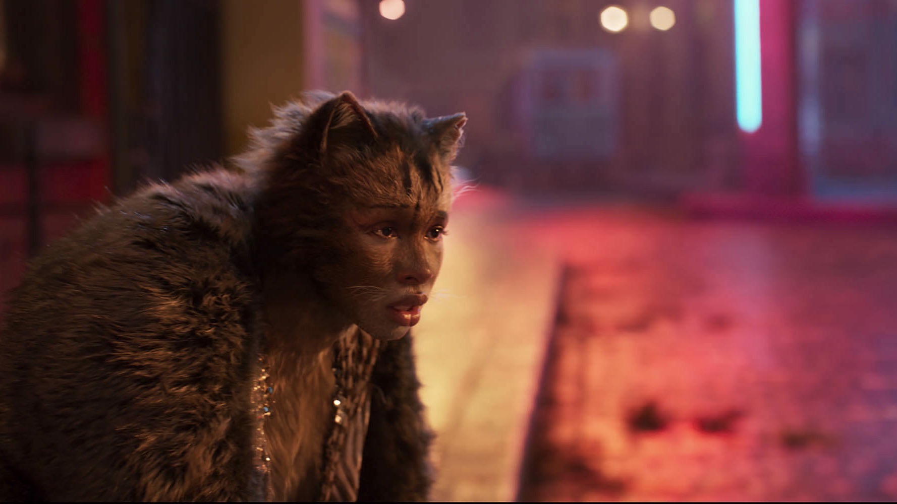 https://staging-parkway.mdfilmfest.com/wp-content/uploads/CATS-GALLERY-1-1900X1000-5D30E468D4CC0-1.jpeg