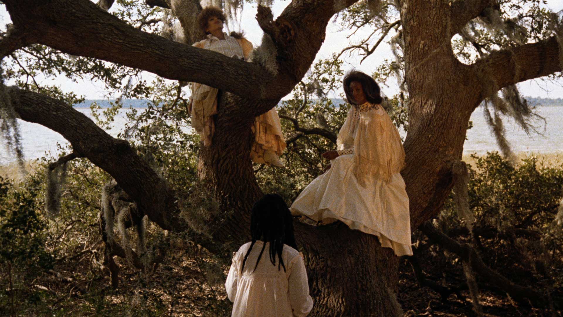 https://staging-parkway.mdfilmfest.com/wp-content/uploads/Daughters-of-the-Dust_Still_WEB_04.jpg