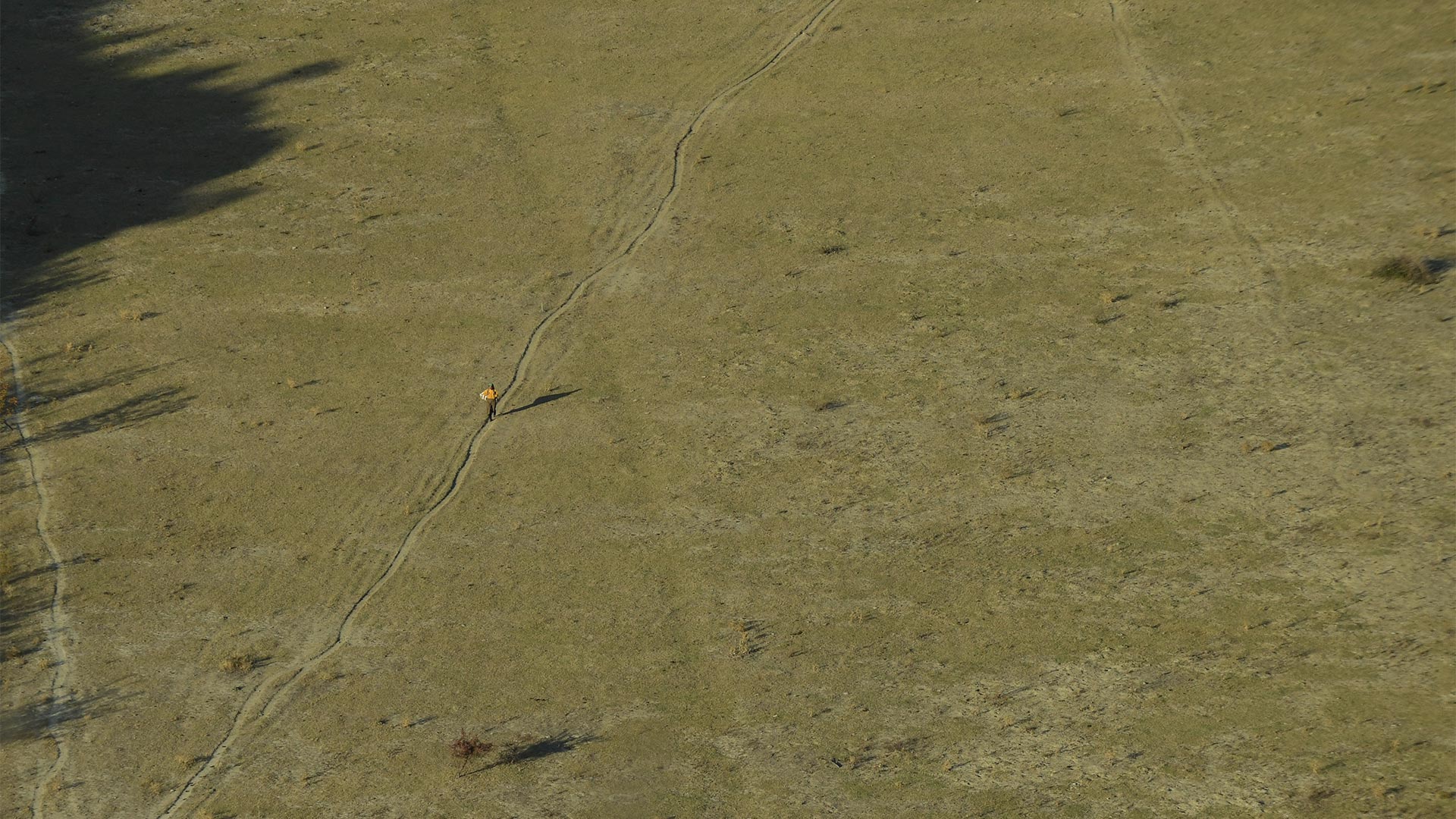 https://staging-parkway.mdfilmfest.com/wp-content/uploads/Honeyland_Still_WEB_03.jpg