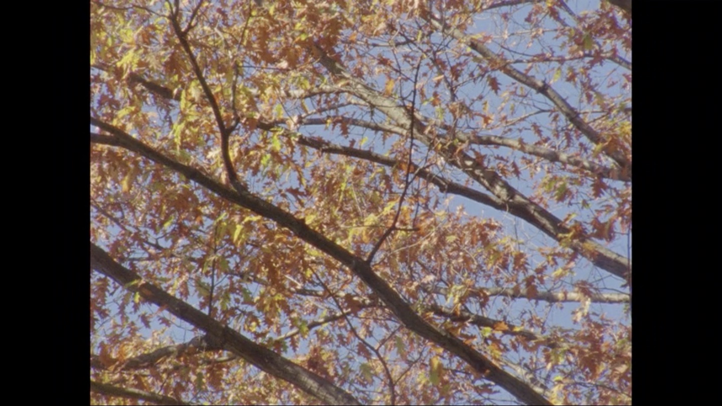 https://staging-parkway.mdfilmfest.com/wp-content/uploads/RED.jpeg