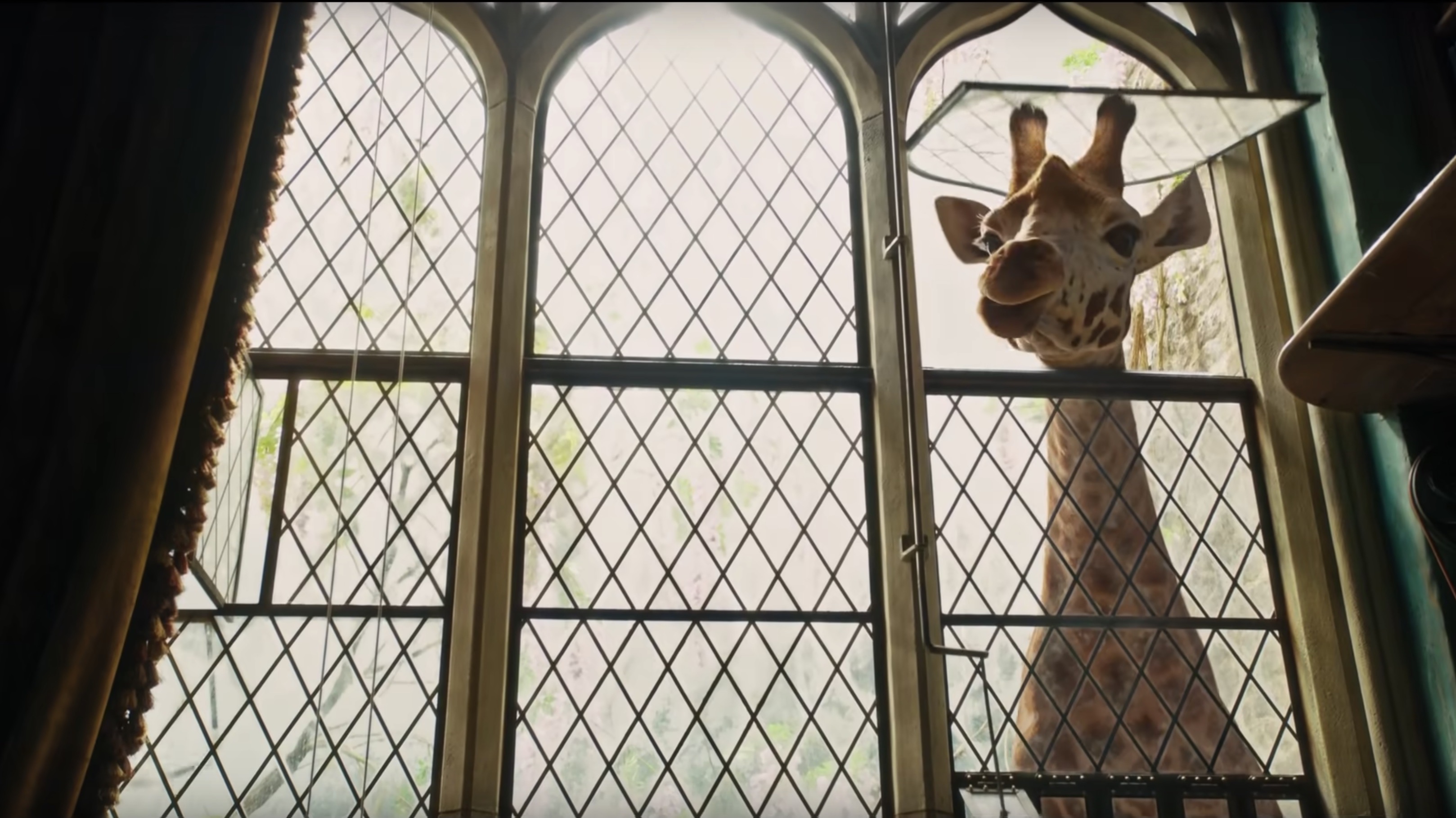 https://staging-parkway.mdfilmfest.com/wp-content/uploads/SCREEN-SHOT-2020-01-06-AT-4.13.38-PM.jpeg