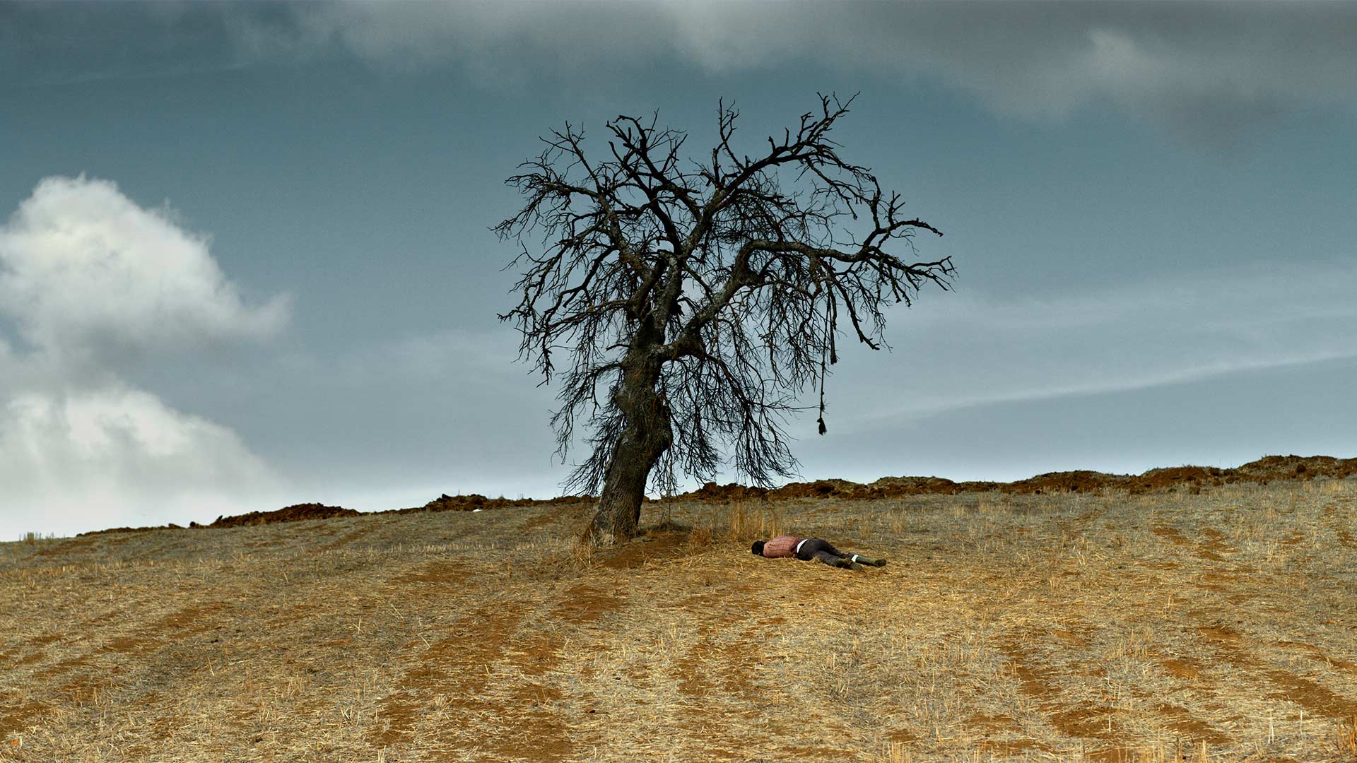 https://staging-parkway.mdfilmfest.com/wp-content/uploads/The-Wild-Pear-Tree_Poster_Stilll_04.jpg