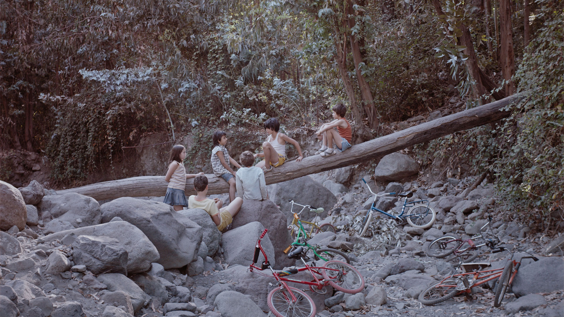 https://staging-parkway.mdfilmfest.com/wp-content/uploads/Too-Late-to-Die-Young_Still_WEB_04.jpg