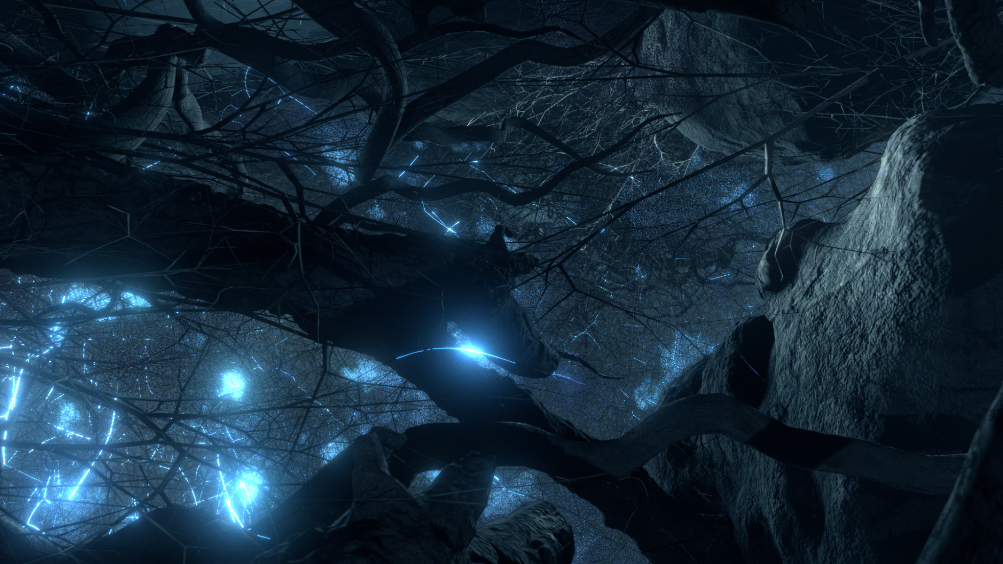https://staging-parkway.mdfilmfest.com/wp-content/uploads/mycelium-in-action.png